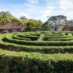 Top 10 free medical websites you can actually trust A maze, representing the maze of health and medical information (licensed content)